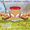 Chicken Feeder poultry feeder with bucket DIY automatic gravity